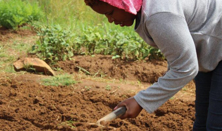 Young Woman Excels In Farming